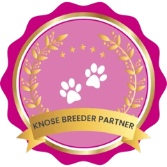 Cavoodle Puppies for Sale. Cavoodle for Sale. Teddy Bear Cavoodles is a Registered Ethical, Vet Audited Toy Cavoodle Dog Breeder in Sydney NSW RightPaw Verified